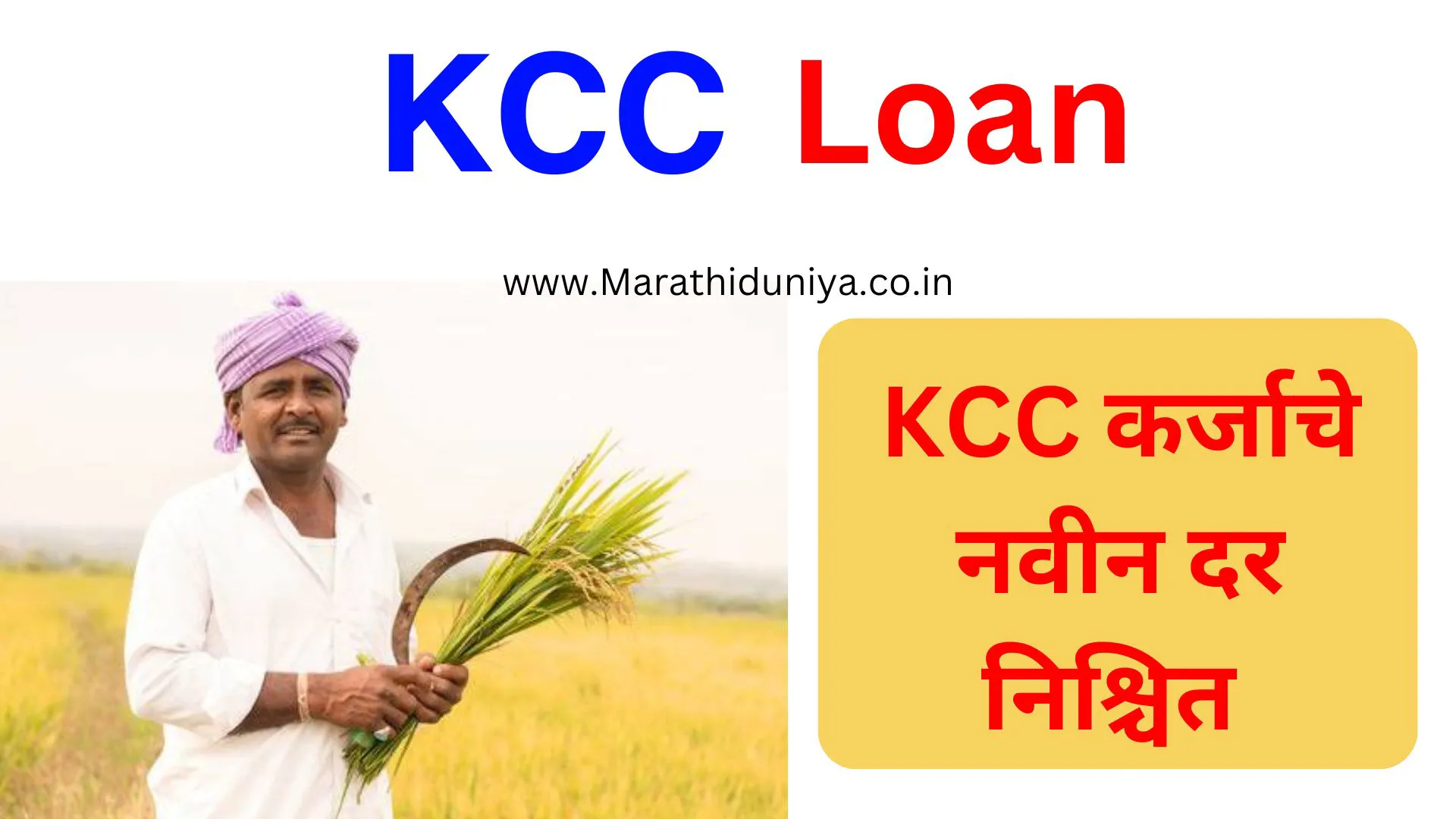 पशू केसीसी कर्जाचे नवीन दर निश्चित | Pashu kcc loan rates 2024